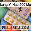 Lang Yi Hao 500 Mg 41